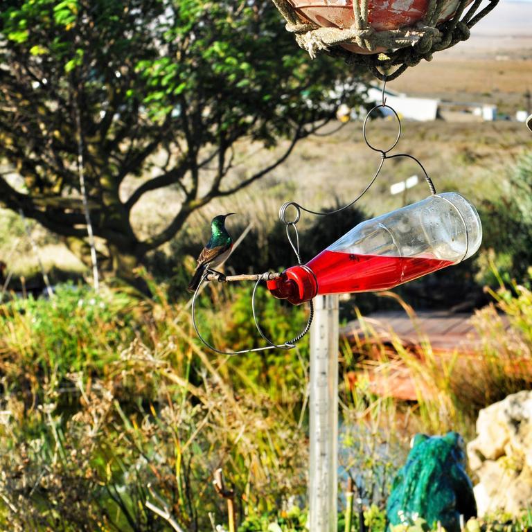 Farr Out Guest House Paternoster Exterior photo