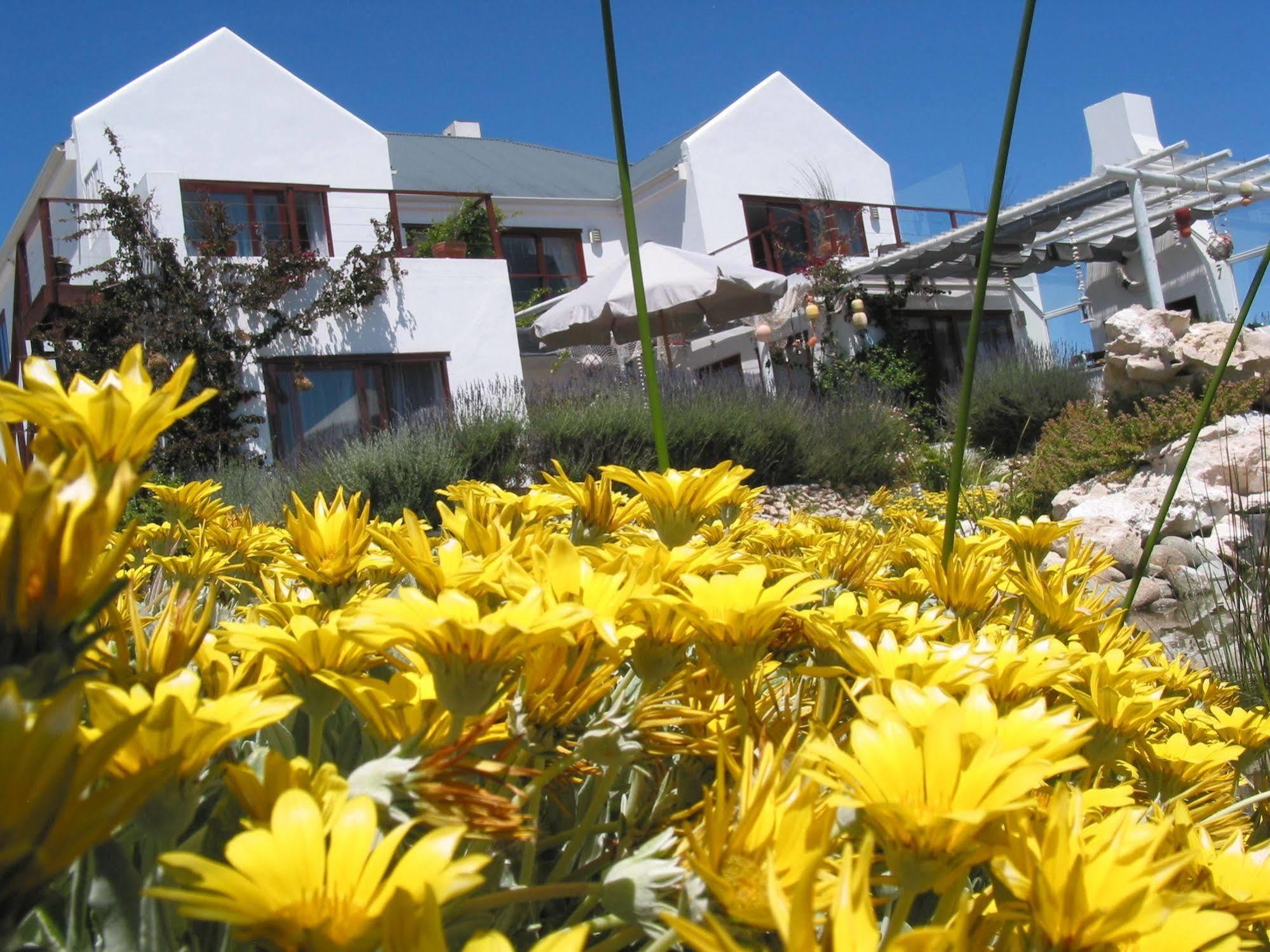 Farr Out Guest House Paternoster Exterior photo